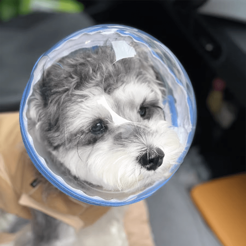 Pet Anti - Bite Mask No - Snack Full Head Cover Lightweight & Adjustable - PIKAPIKA