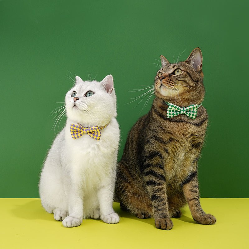 Plaid Bow Shape Cat Collar - PIKAPIKA