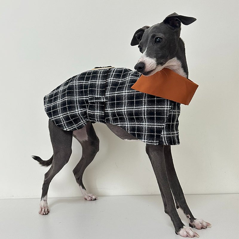 Plaid Wind Coat Cloak for Italian Greyhound Whippet - PIKAPIKA