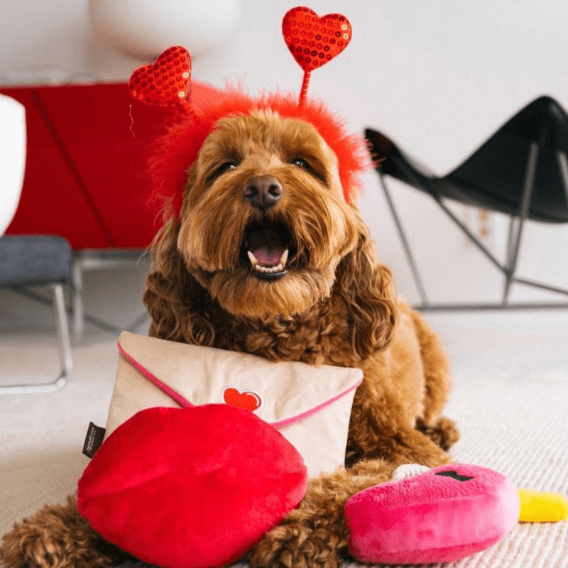 Plush Squeaky Dog Toy Valentine's Day Love Gift - PIKAPIKA