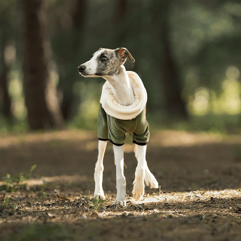 Polar Fleece Dog Onesies Outwear Italian greyhound Whippet Clothes - PIKAPIKA