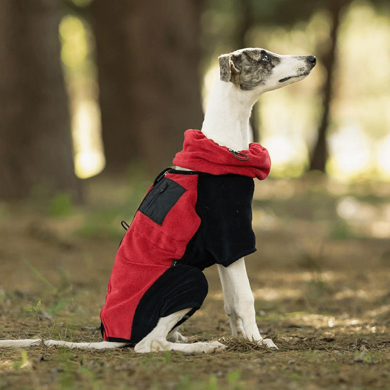 Polar Fleece Dog Onesies Outwear Italian greyhound Whippet Clothes - PIKAPIKA