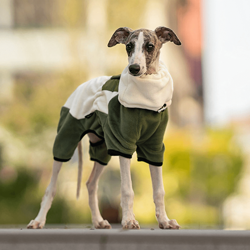 Polar Fleece Dog Onesies Outwear Italian greyhound Whippet Clothes - PIKAPIKA