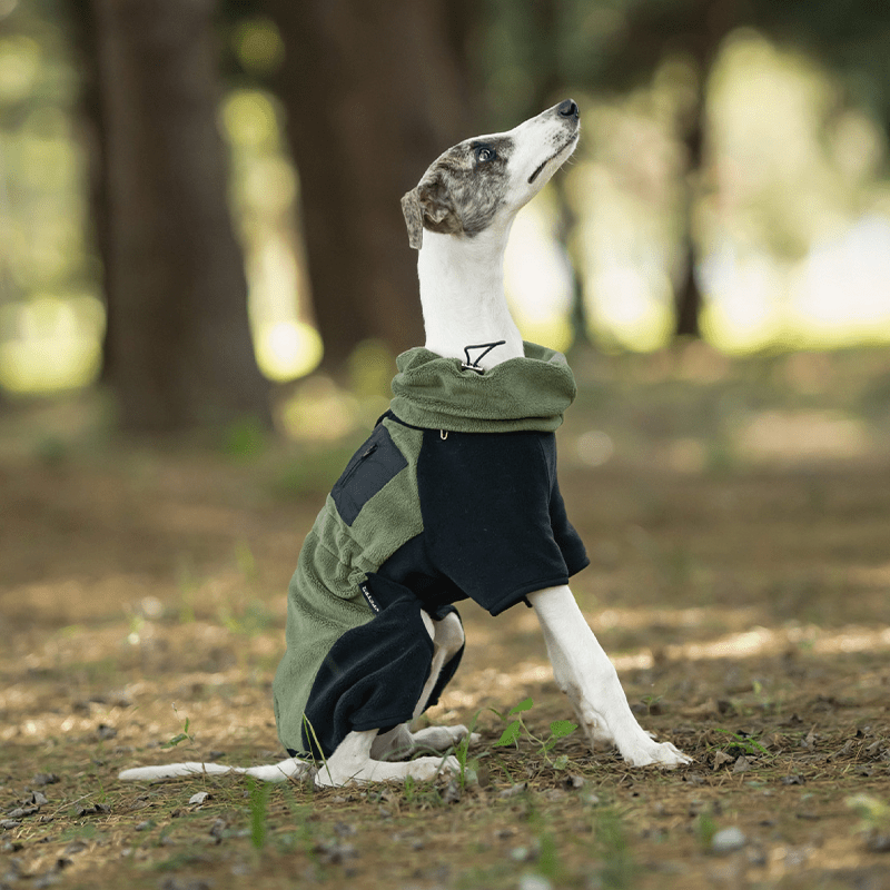 Polar Fleece Dog Onesies Outwear Italian greyhound Whippet Clothes - PIKAPIKA