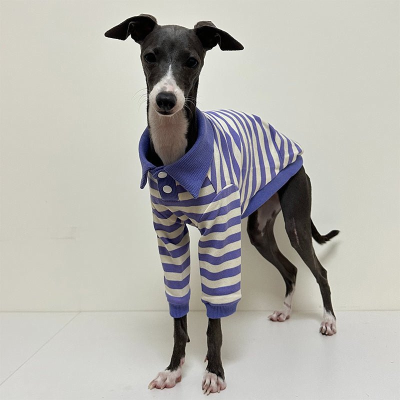 Polo Stripe Shirts for Italian Greyhound Whippet - PIKAPIKA