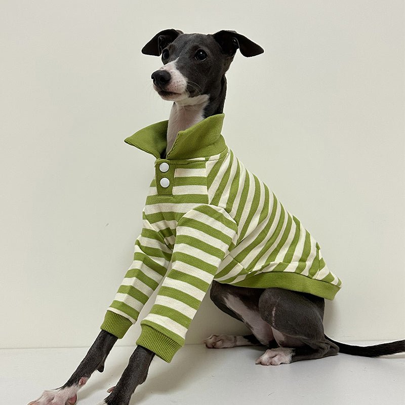 Polo Stripe Shirts for Italian Greyhound Whippet - PIKAPIKA
