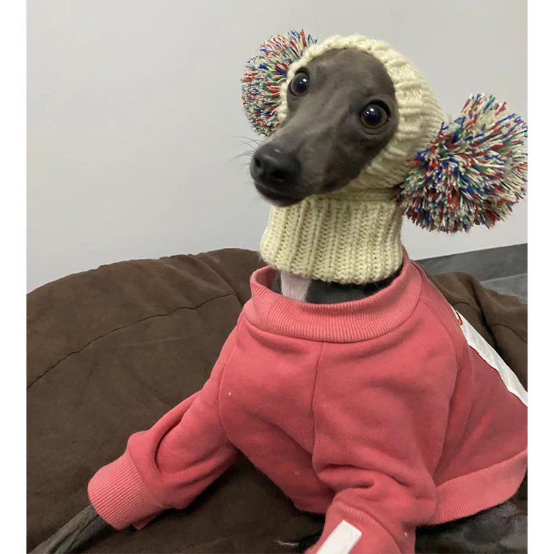 Pom Beanie Knitted Dog & Cat Hat - PIKAPIKA