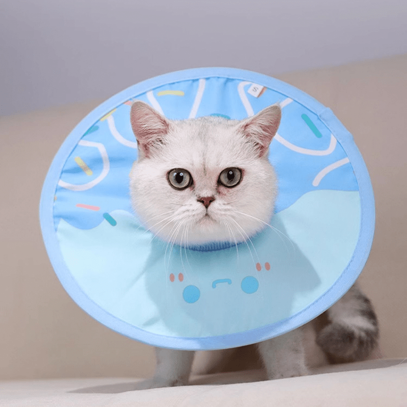 Post - Surgery Cat Recovery Collar - PIKAPIKA