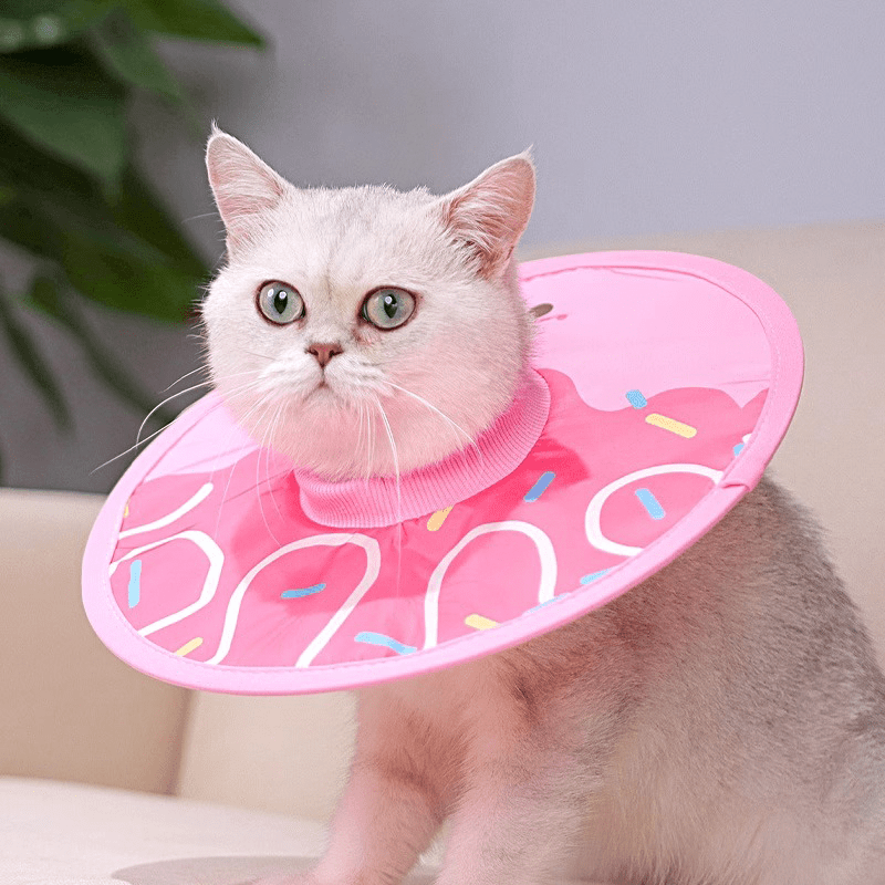 Post - Surgery Cat Recovery Collar - PIKAPIKA