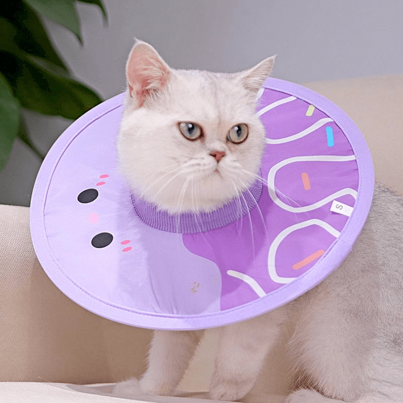 Post - Surgery Cat Recovery Collar - PIKAPIKA