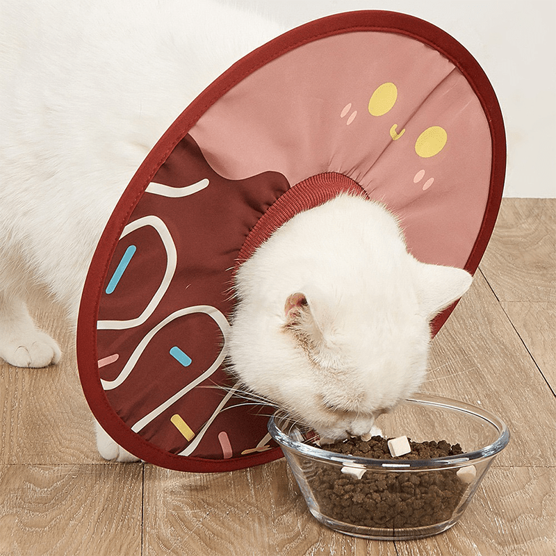 Post - Surgery Cat Recovery Collar - PIKAPIKA