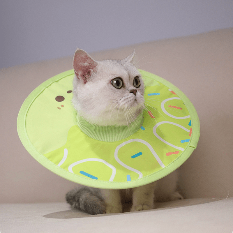 Post - Surgery Cat Recovery Collar - PIKAPIKA