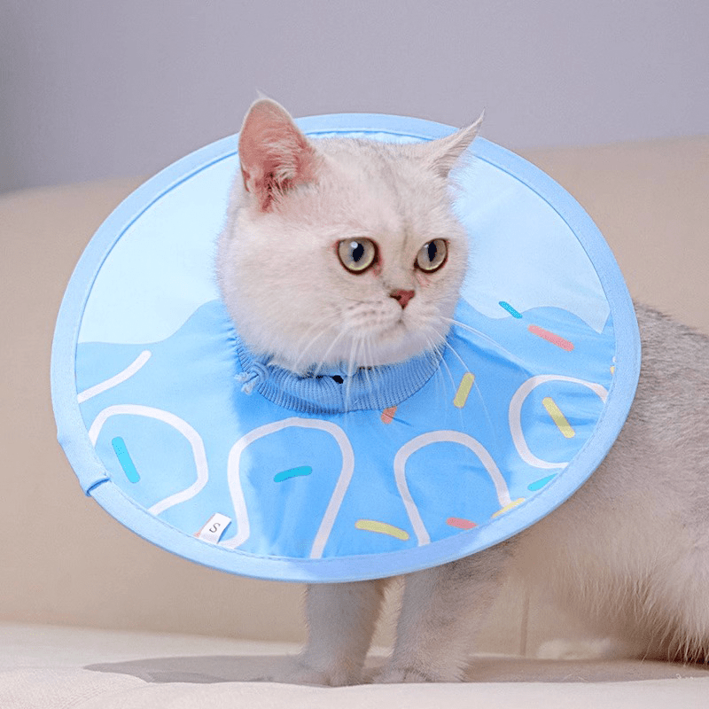 Post - Surgery Cat Recovery Collar - PIKAPIKA