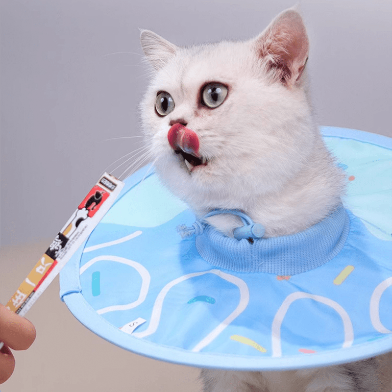Post - Surgery Cat Recovery Collar - PIKAPIKA
