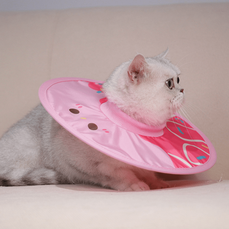 Post - Surgery Cat Recovery Collar - PIKAPIKA