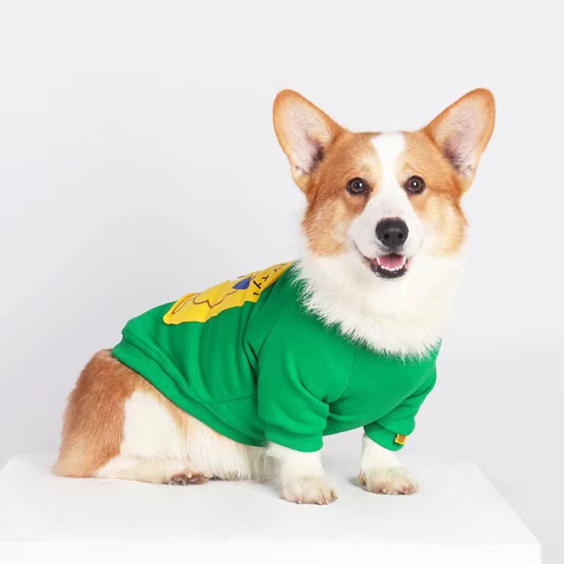 Clothes for corgi puppies best sale