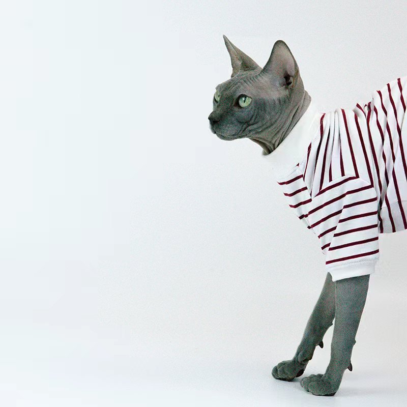 Pullover Stripe T-shirt Sphynx Cat Clothes - PIKAPIKA