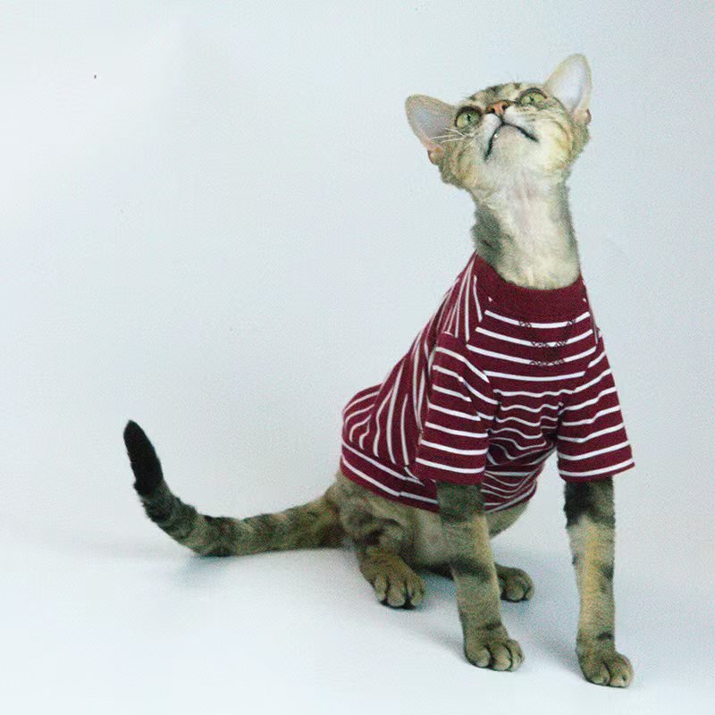 Pullover Stripes Shirt Sphynx Cat Clothes - PIKAPIKA