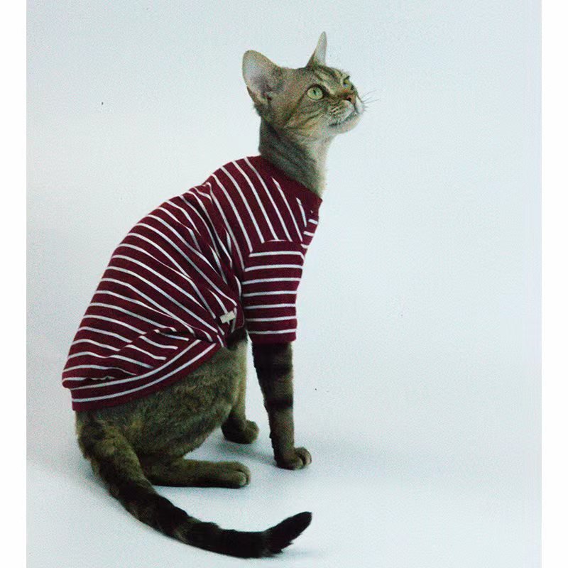 Pullover Stripes Shirt Sphynx Cat Clothes - PIKAPIKA