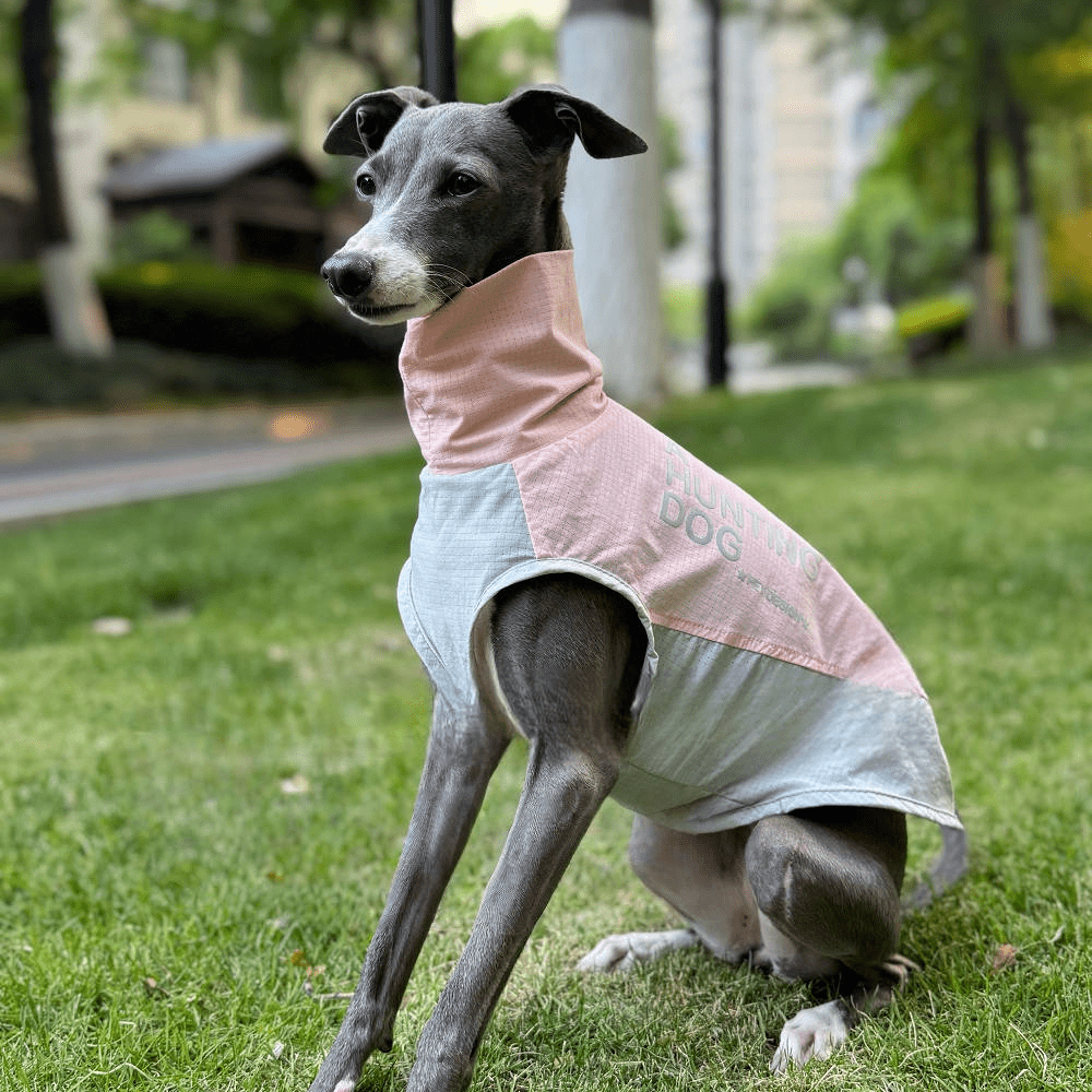 Quick - Dry Breathable Sleeveless Vest Italian Greyhounds Whippet Dog Clothes - PIKAPIKA