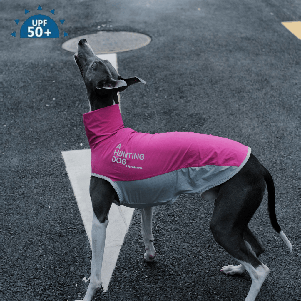 Quick - Dry Breathable Sleeveless Vest Italian Greyhounds Whippet Dog Clothes - PIKAPIKA