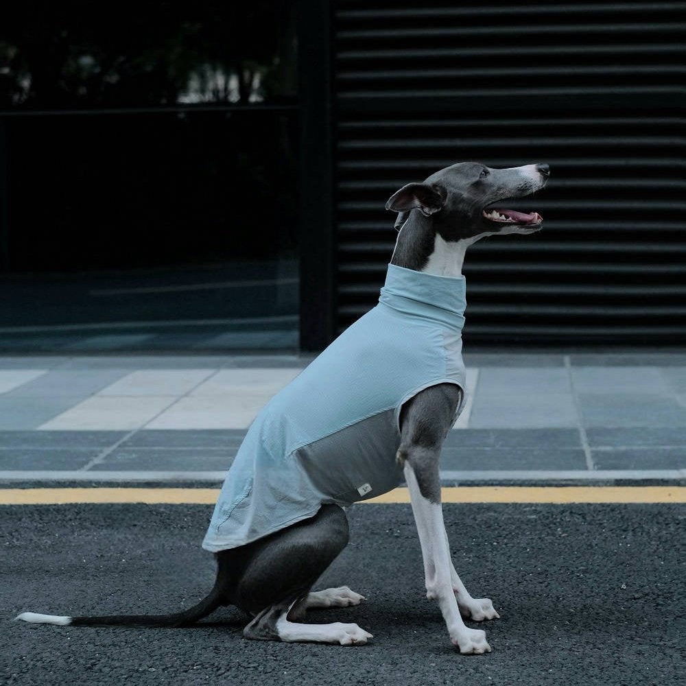 Quick - Dry Breathable Sleeveless Vest Italian Greyhounds Whippet Dog Clothes - PIKAPIKA