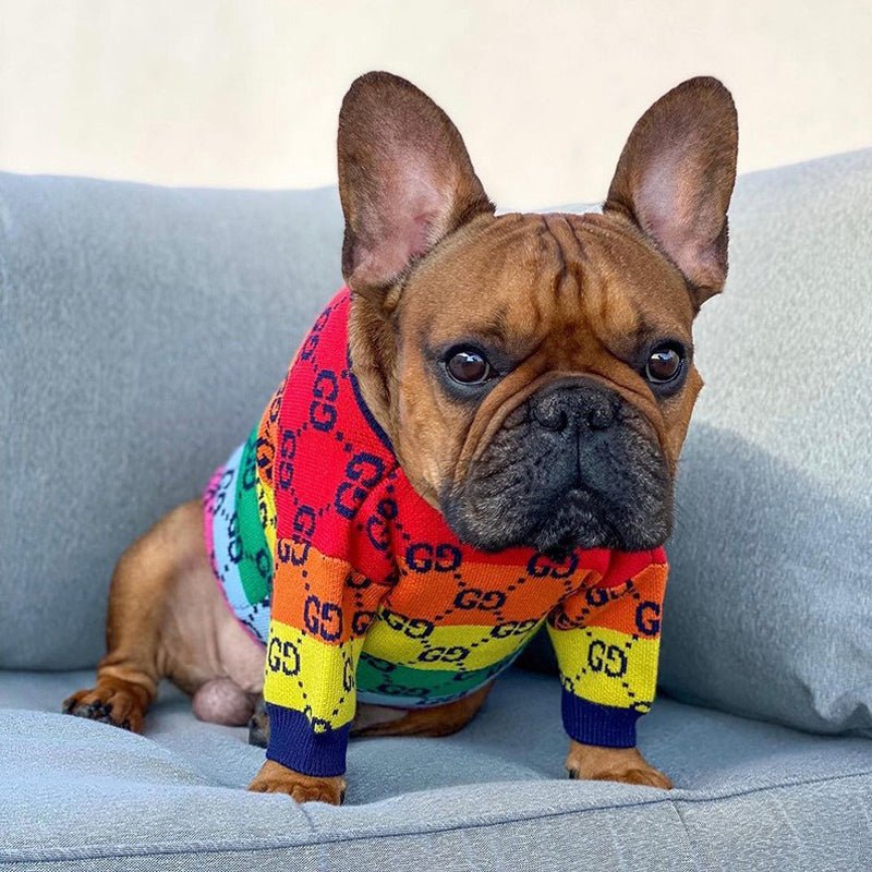 Rainbow Gucci Style Knit Sweater Dog Clothes - PIKAPIKA