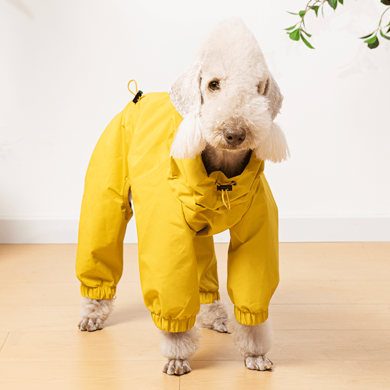 Raincoat Dog Jacket Outdoor Clothes Bedlington - PIKAPIKA