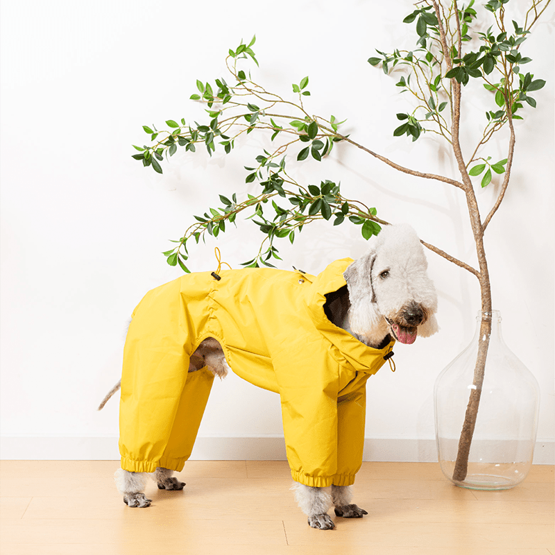 Raincoat Dog Jacket Outdoor Clothes Bedlington - PIKAPIKA