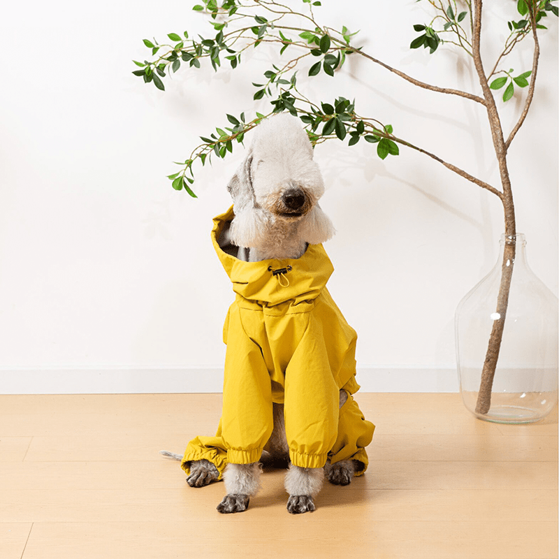 Raincoat Dog Jacket Outdoor Clothes Bedlington - PIKAPIKA