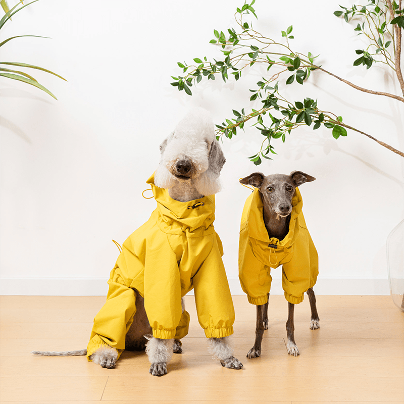 Raincoat Dog Jacket Outdoor Clothes Bedlington - PIKAPIKA