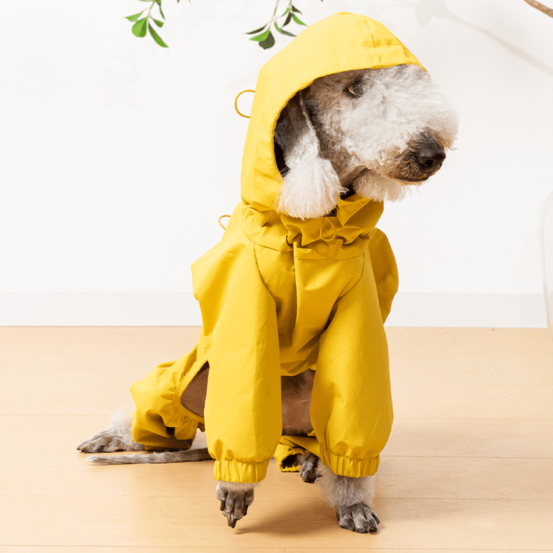 Raincoat Dog Jacket Outdoor Clothes Bedlington - PIKAPIKA