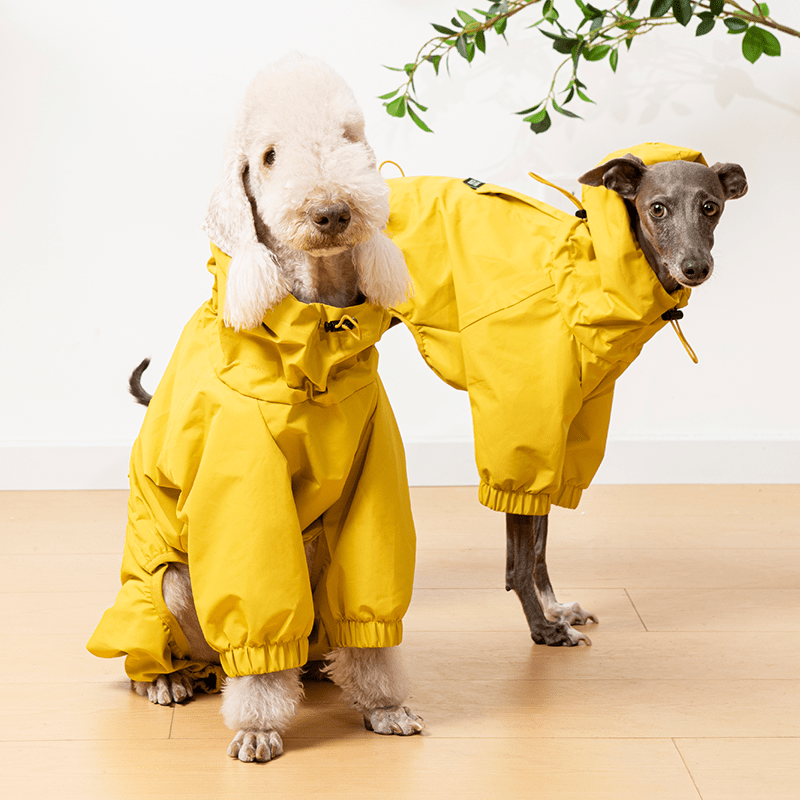 Raincoat Dog Jacket Outdoor Clothes Bedlington - PIKAPIKA
