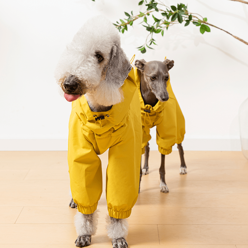 Raincoat Dog Jacket Outdoor Clothes Bedlington - PIKAPIKA