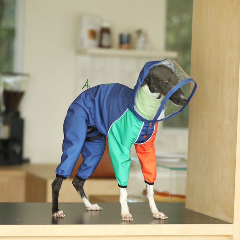 Raincoat Onesie Outdoor Jacket Italian Greyhound Whippet Dog Clothes - PIKAPIKA