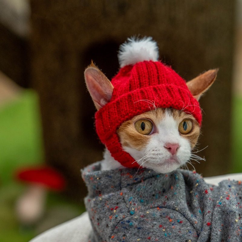 Red Hood Knit Hat Devon Sphynx Cat Ear Opening Warm Hat - PIKAPIKA