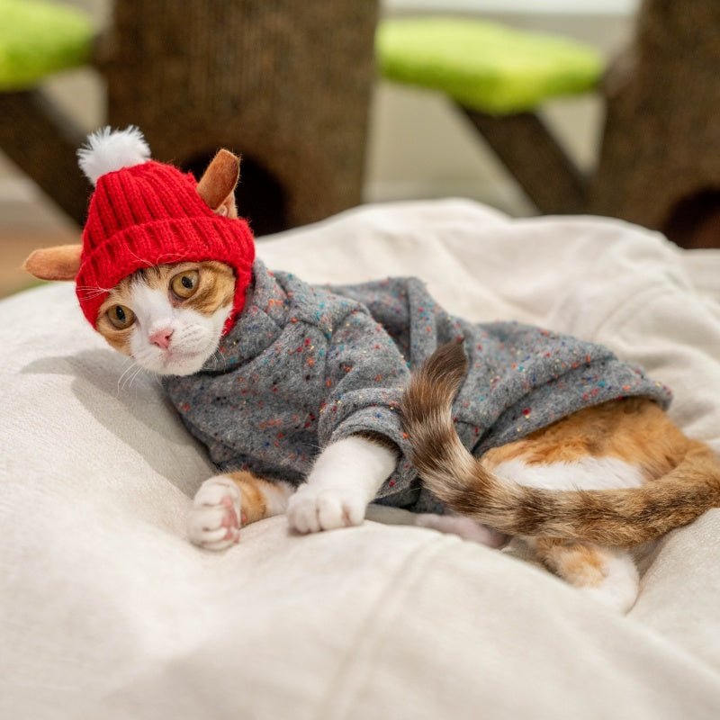 Red Hood Knit Hat Devon Sphynx Cat Ear Opening Warm Hat - PIKAPIKA