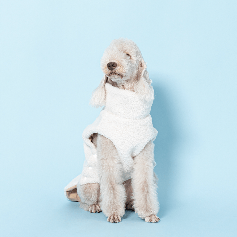 Reversible Padded Dog Jacket Fleece Clothes Bedlington - PIKAPIKA