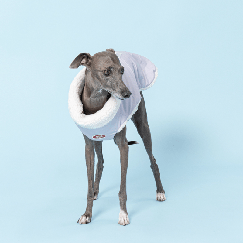 Reversible Padded Dog Jacket Fleece Clothes Italian Greyhound Whippet - PIKAPIKA
