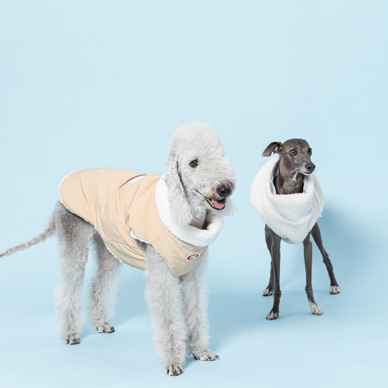 Reversible Padded Dog Jacket Fleece Clothes Italian Greyhound Whippet - PIKAPIKA