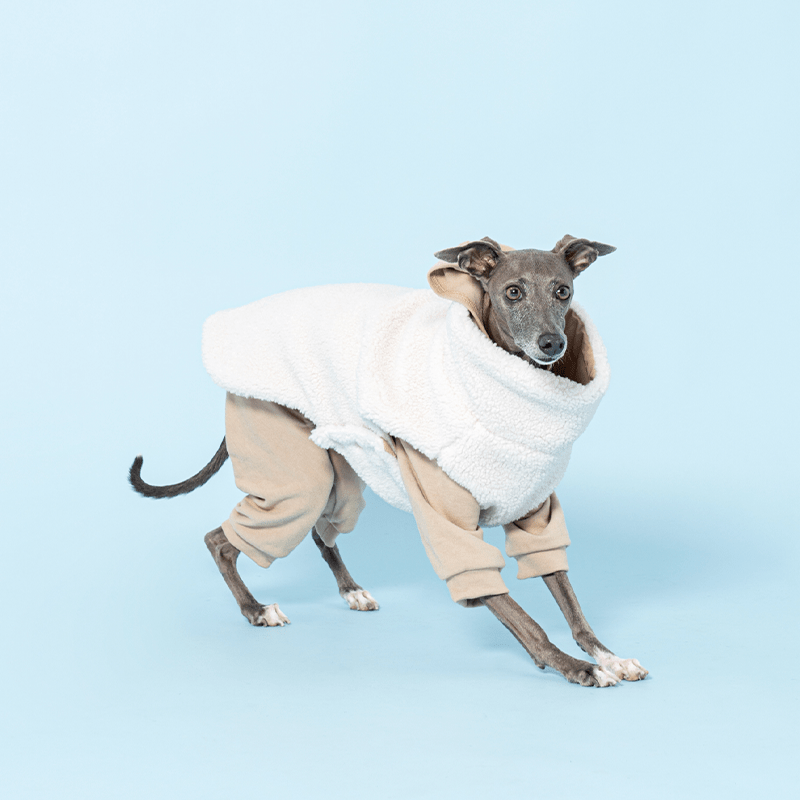 Reversible Padded Dog Jacket Fleece Clothes Italian Greyhound Whippet - PIKAPIKA