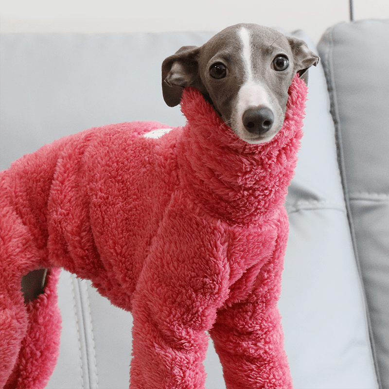 Rose Red Fleece Onesies Italian Greyhound Whippet Dog Clothes