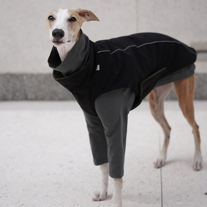 Sherpa Fleece Vest Waterproof Windproof for Italian greyhound Whippet - PIKAPIKA