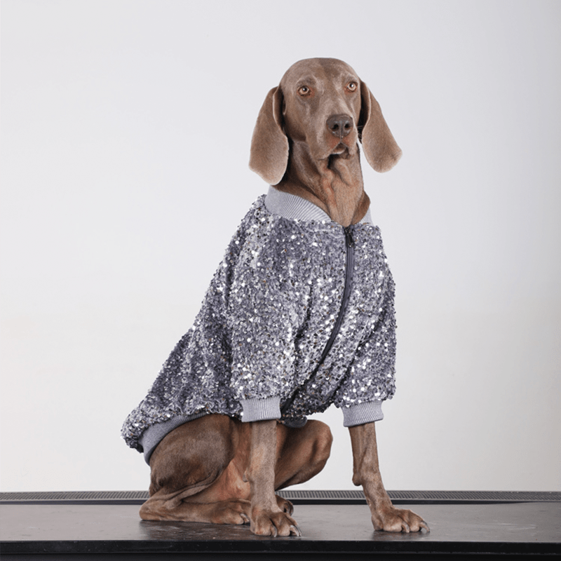 Shiny Party Wear Big Dog Coat Large Size Dog Clothes Jacket - PIKAPIKA