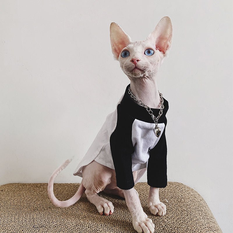 Shirt Sphynx Cat Clothes - PIKAPIKA