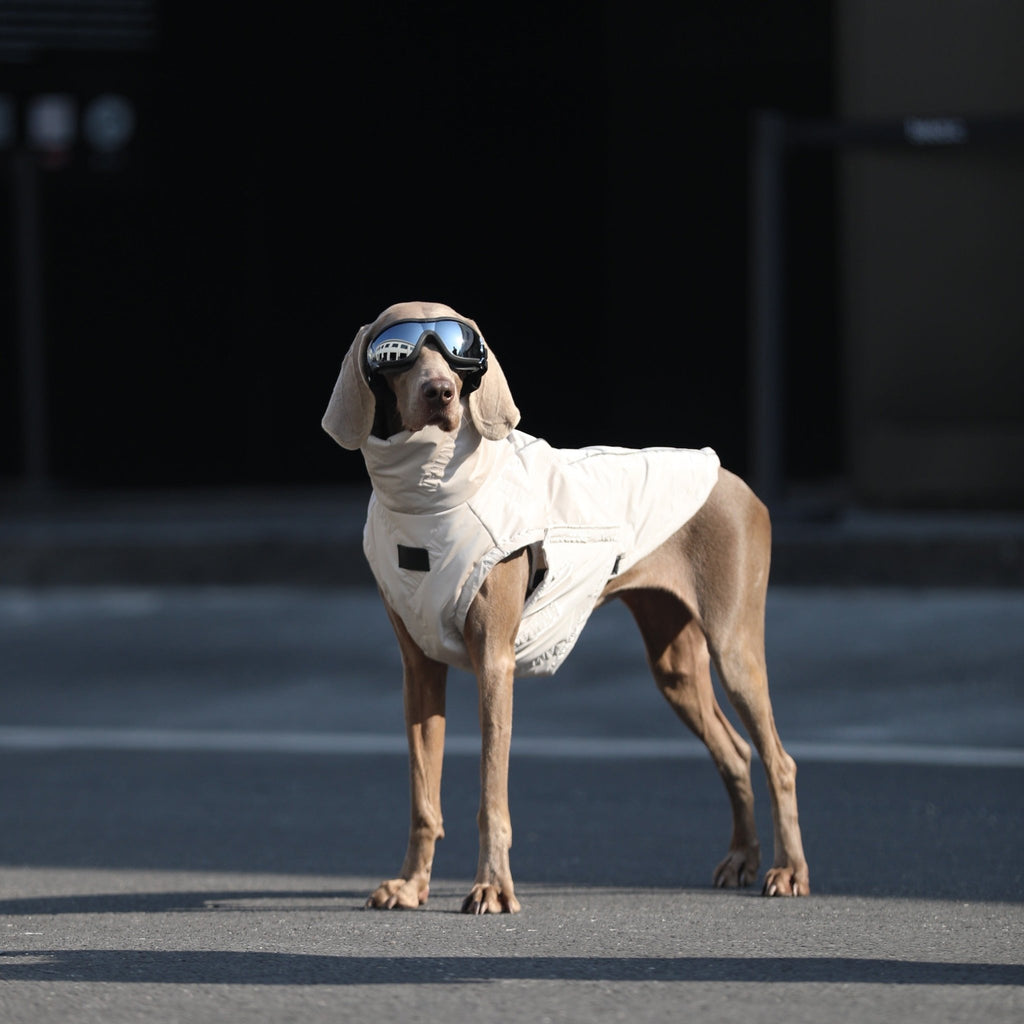 Sleeveless Cotton Padded Jacket Big Dog Clothes - PIKAPIKA