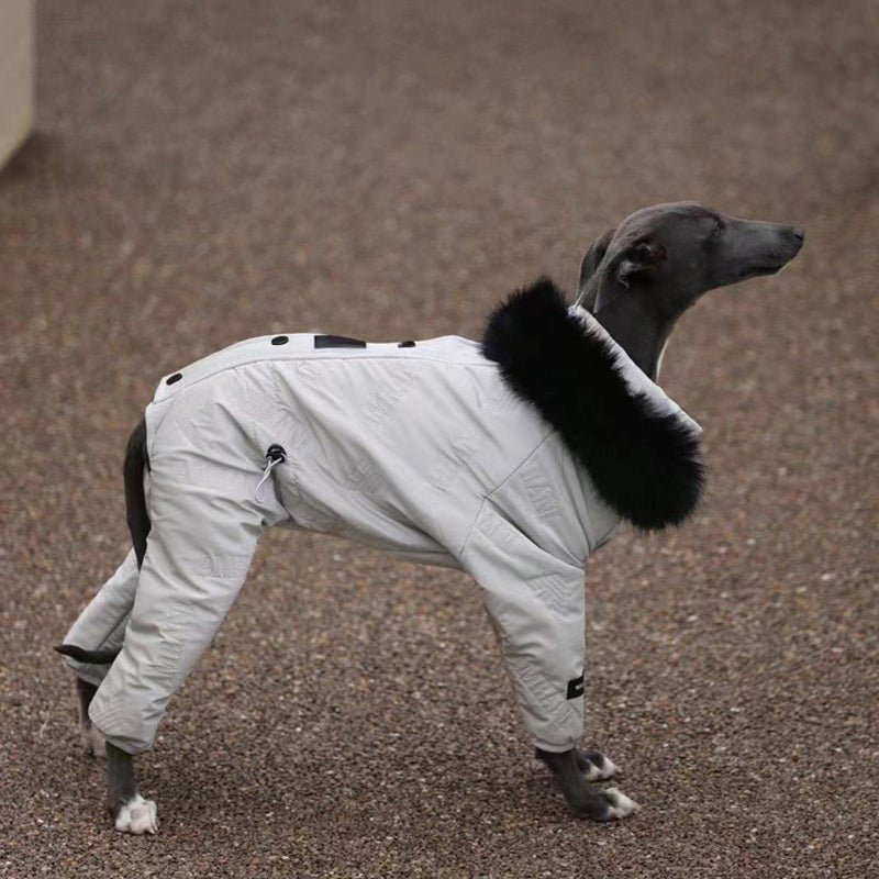 Snowsuit Thickened Jacket Cotton Coat Italian Greyhound Whippet Dog Clothes - PIKAPIKA