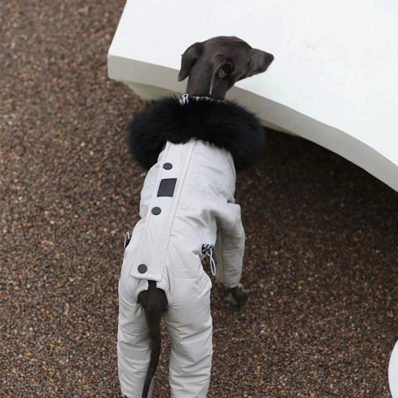 Snowsuit Thickened Jacket Cotton Coat Italian Greyhound Whippet Dog Clothes - PIKAPIKA