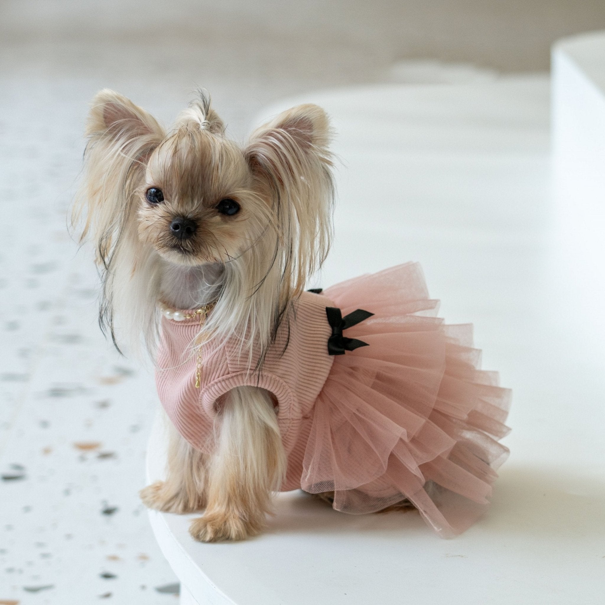 Soft Anti - Wrinkle Tutu Dress Elegant Mesh Outfit for Toy Dogs - PIKAPIKA Soft Anti - Wrinkle Tutu Dress Elegant Mesh Outfit for Toy Dogs - PIKAPIKA
