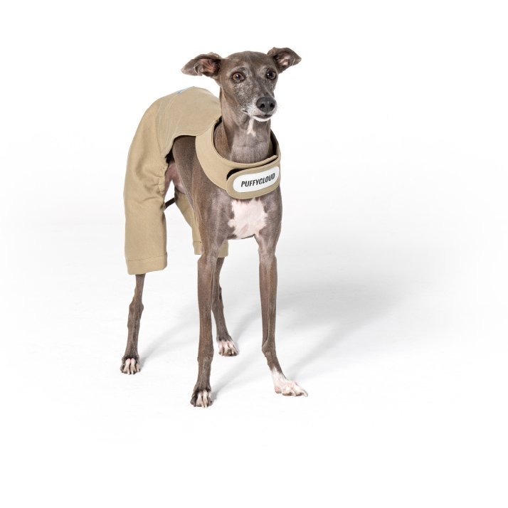 Soft Breathable Cotton Dog Pants for Italian Greyhounds - PIKAPIKA